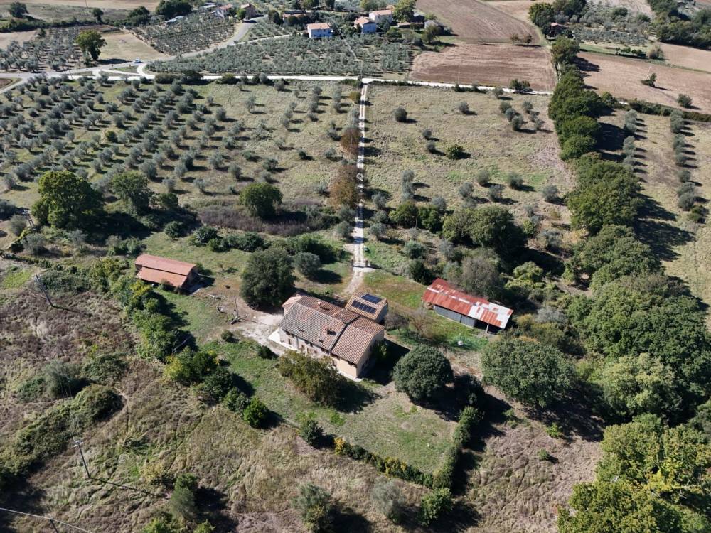 immagine annuncio 10 di 13