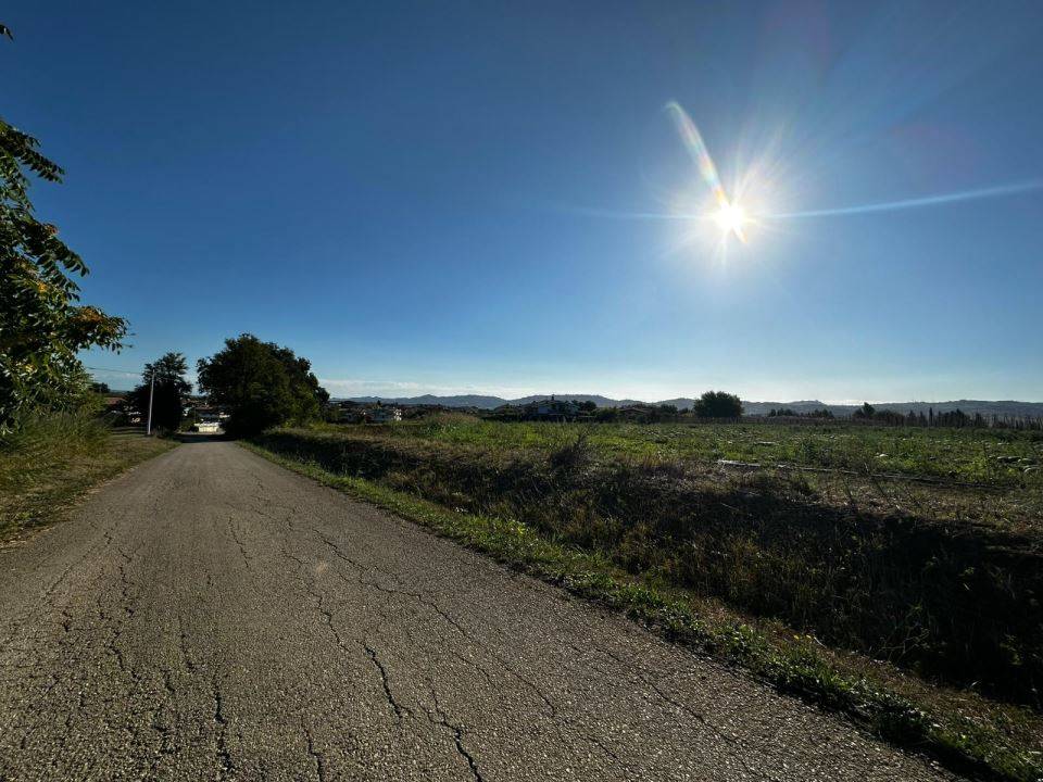 immagine annuncio 6 di 9