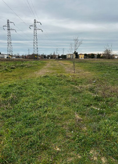 immagine annuncio 3 di 11