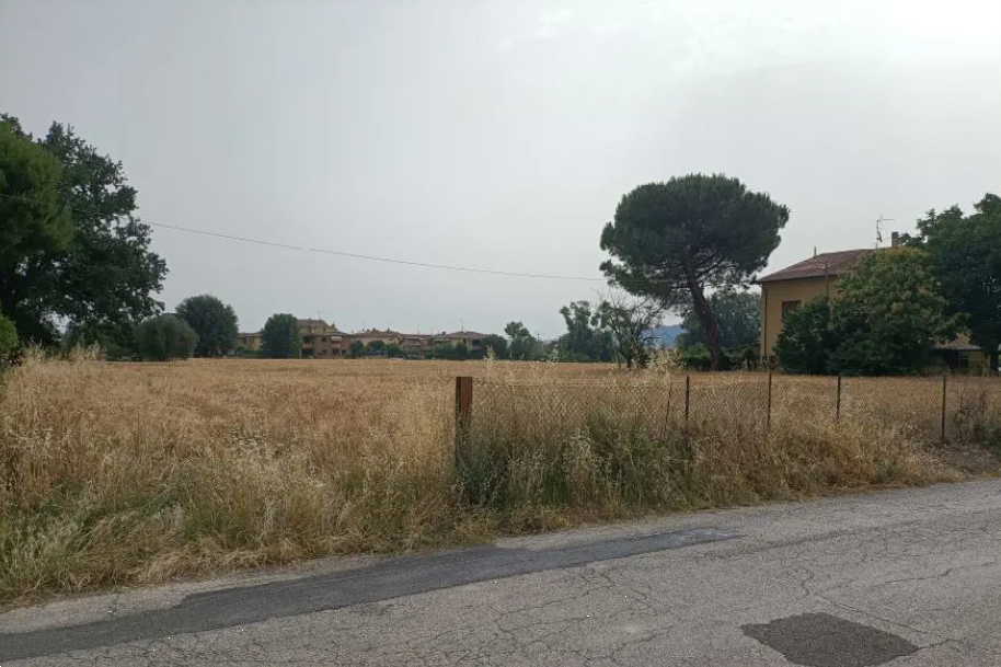 immagine annuncio 1 di 9