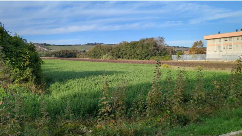 immagine annuncio 2 di 13