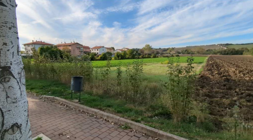 immagine annuncio 4 di 13