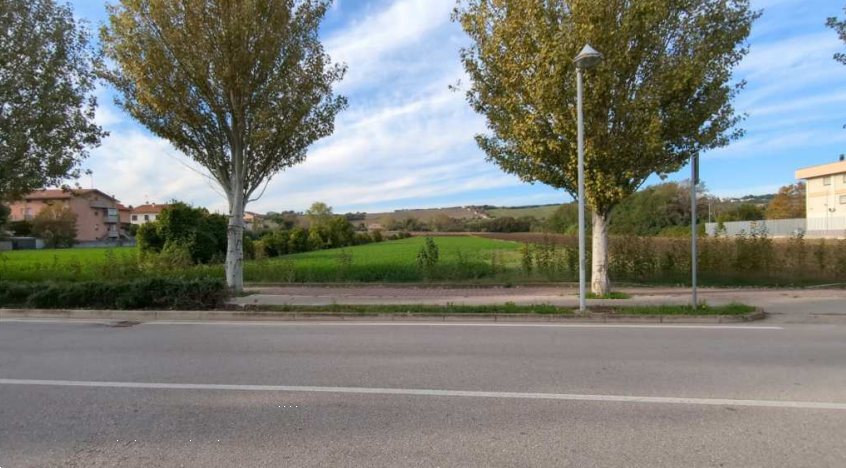 immagine annuncio 5 di 13