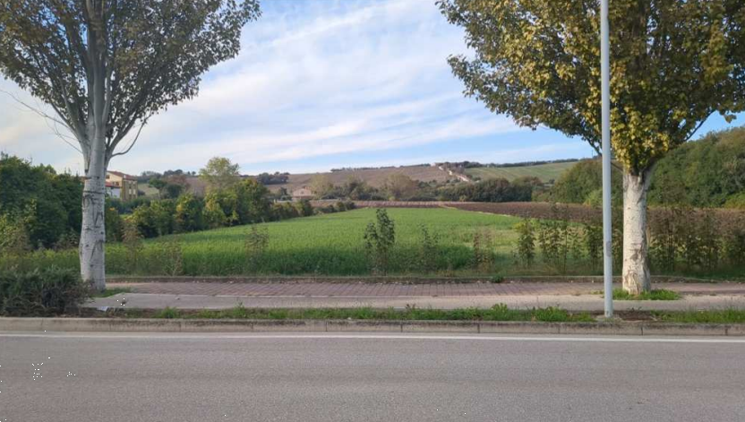 immagine annuncio 6 di 13