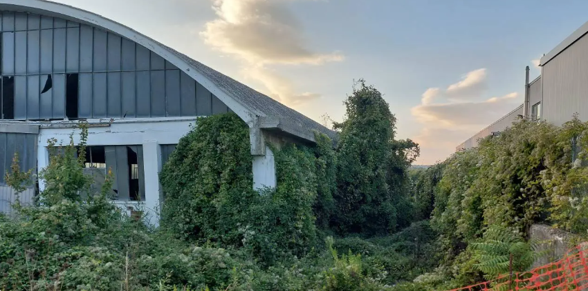 immagine annuncio 4 di 10