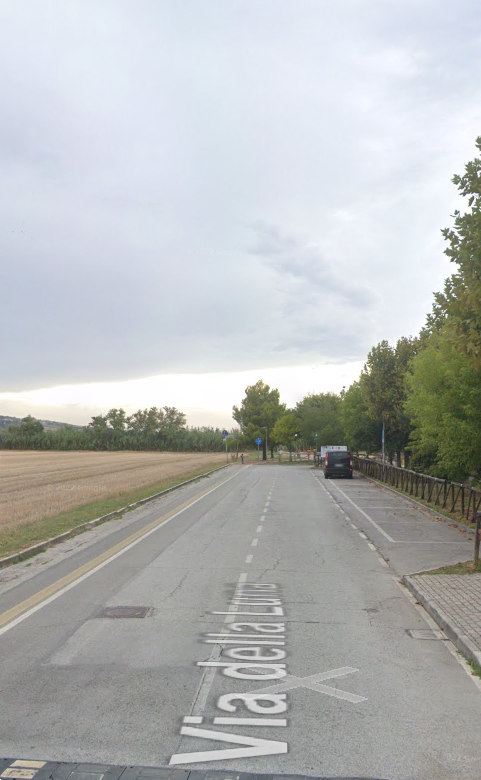 immagine annuncio 4 di 9