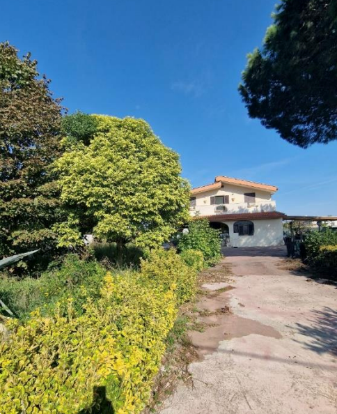 immagine annuncio 2 di 13