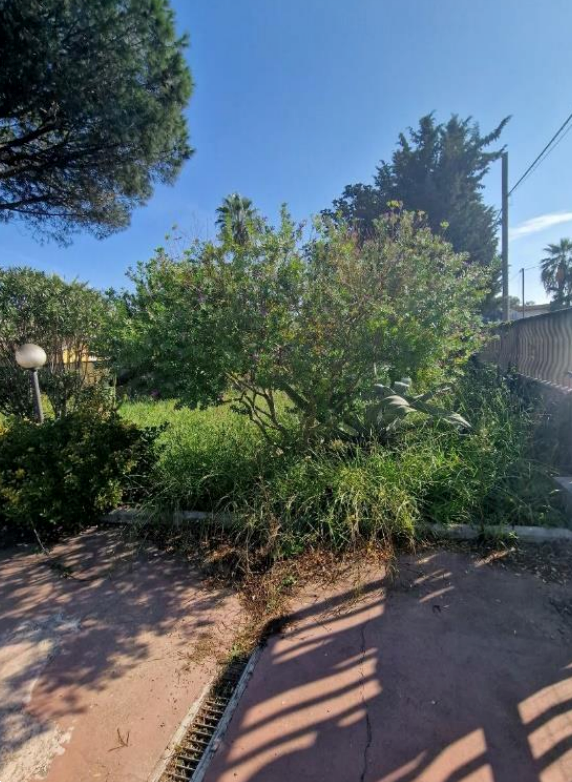 immagine annuncio 3 di 13