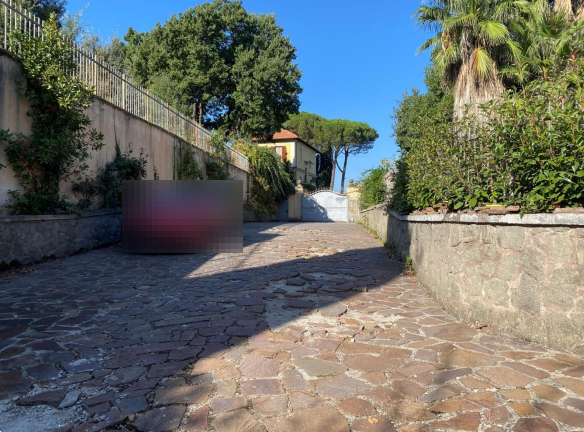 immagine annuncio 4 di 13