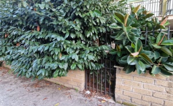 immagine annuncio 6 di 13