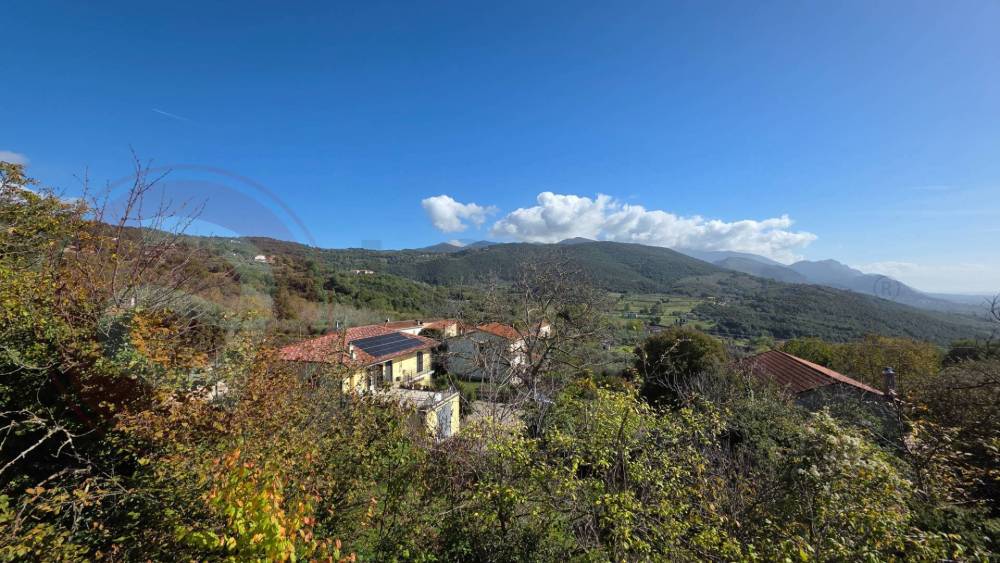 immagine annuncio 12 di 13