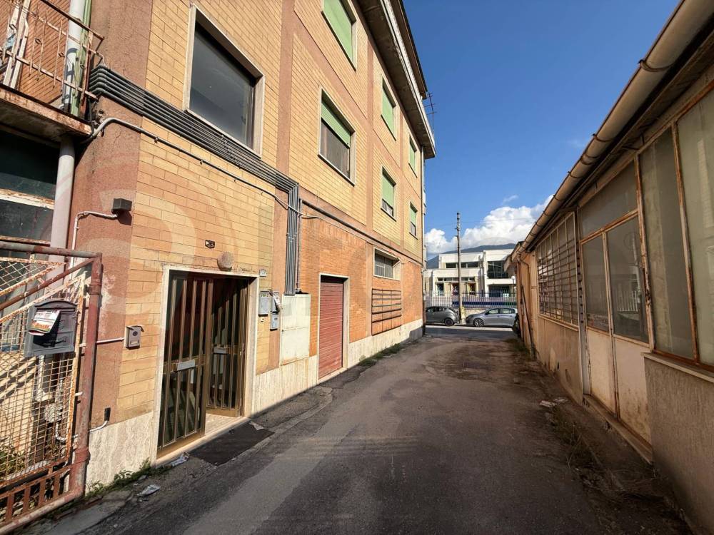 immagine annuncio 3 di 13