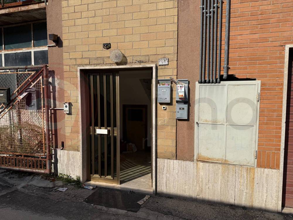 immagine annuncio 4 di 13