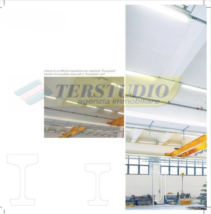 immagine annuncio 4 di 9