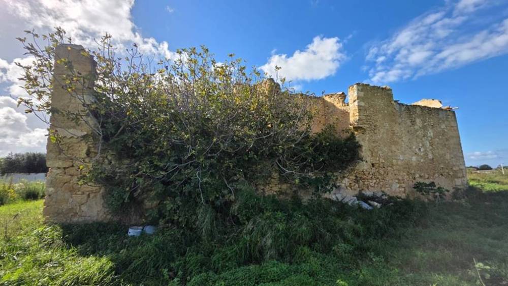 immagine annuncio 4 di 11