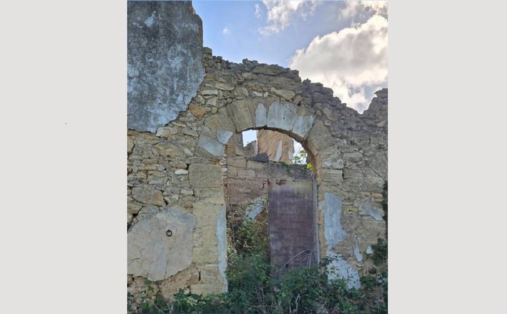 immagine annuncio 5 di 11