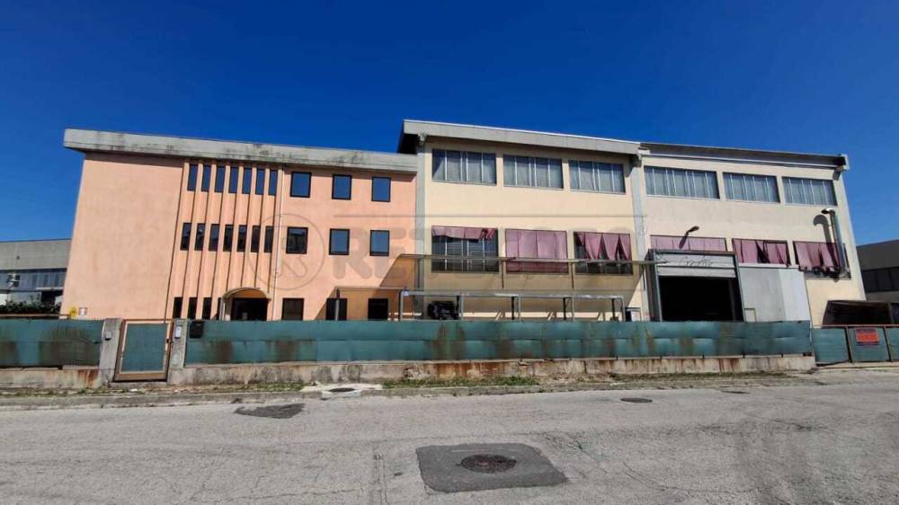 immagine annuncio 2 di 3