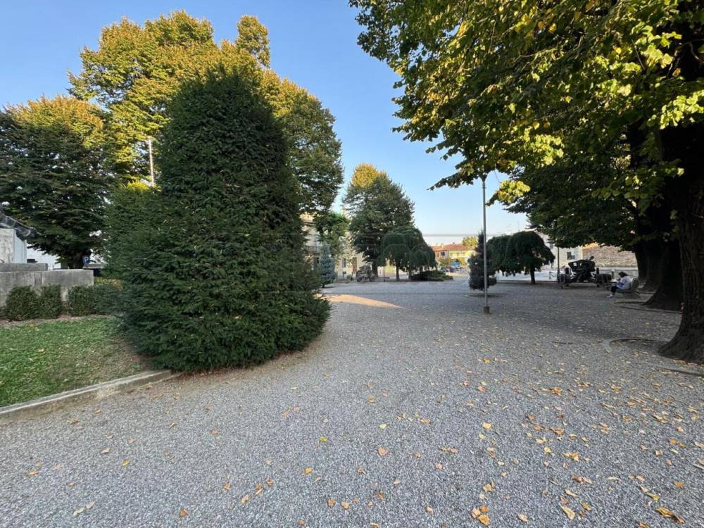 immagine annuncio 10 di 13