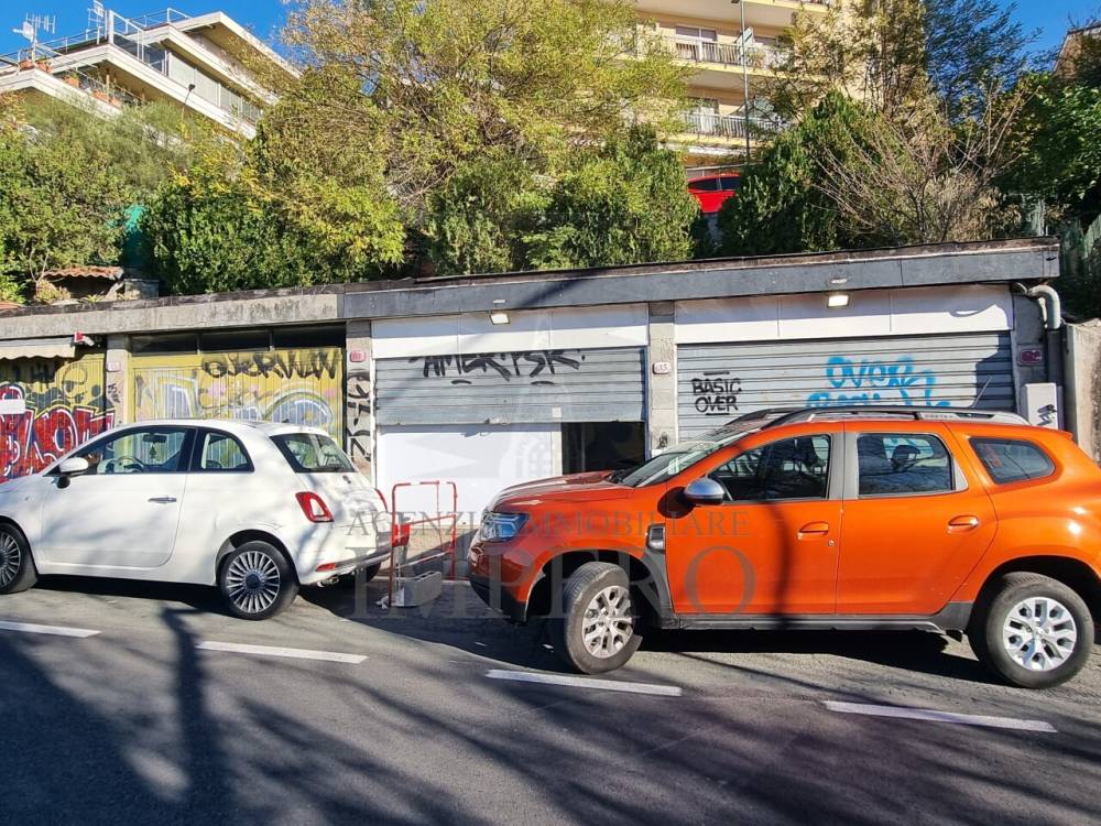 immagine annuncio 9 di 12