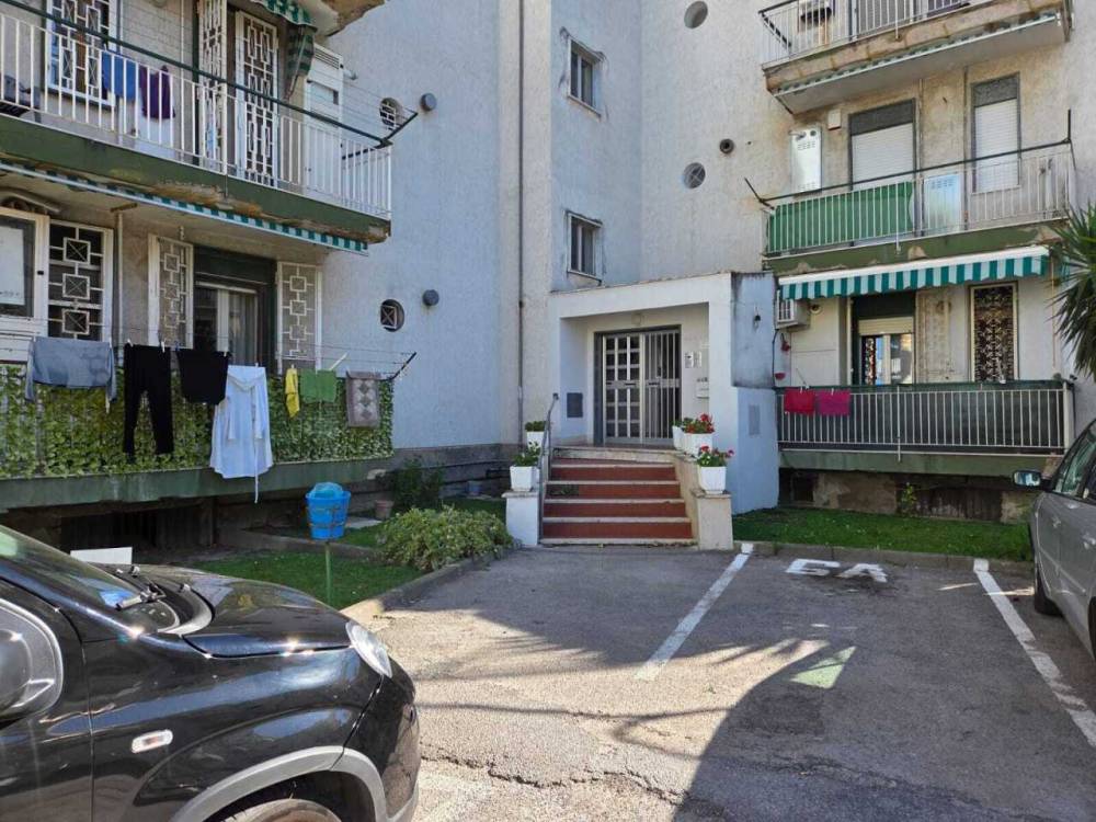 immagine annuncio 2 di 13