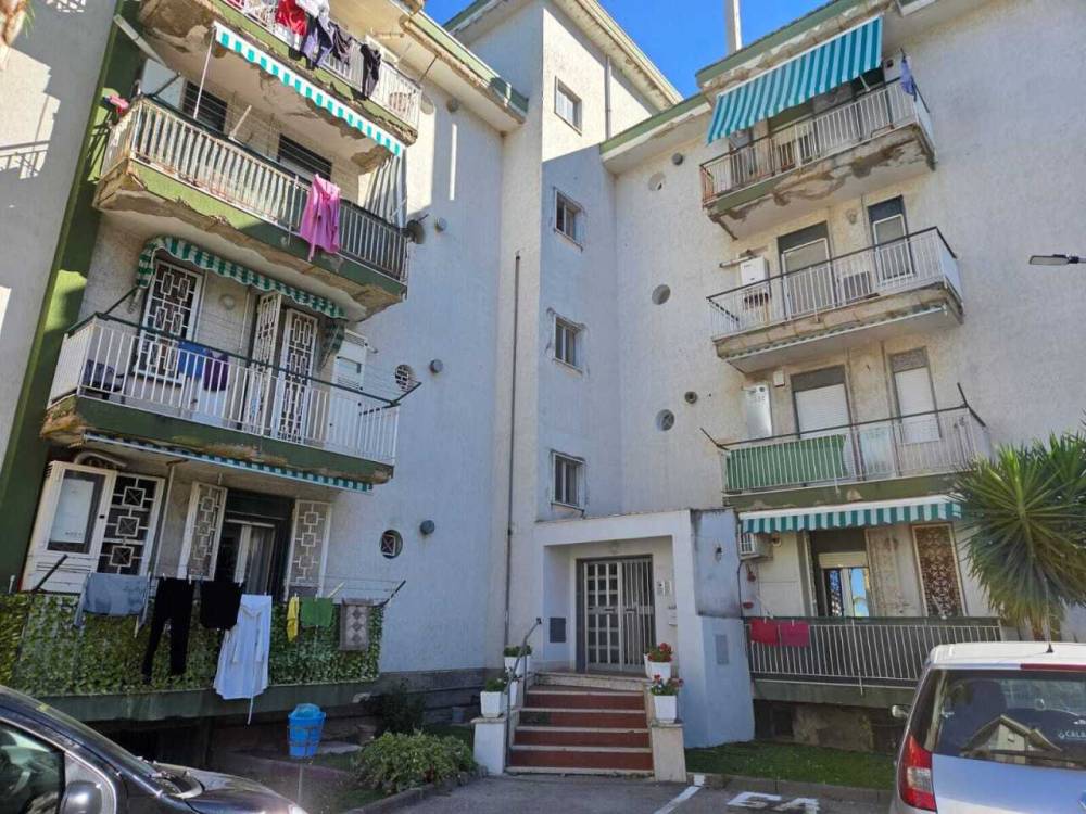 immagine annuncio 3 di 13