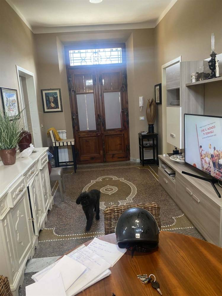 immagine annuncio 6 di 13