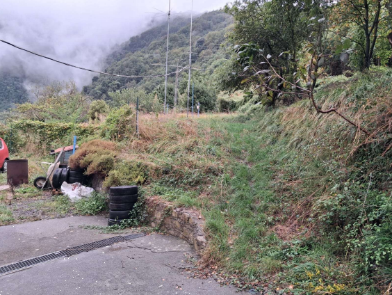 immagine annuncio 6 di 13