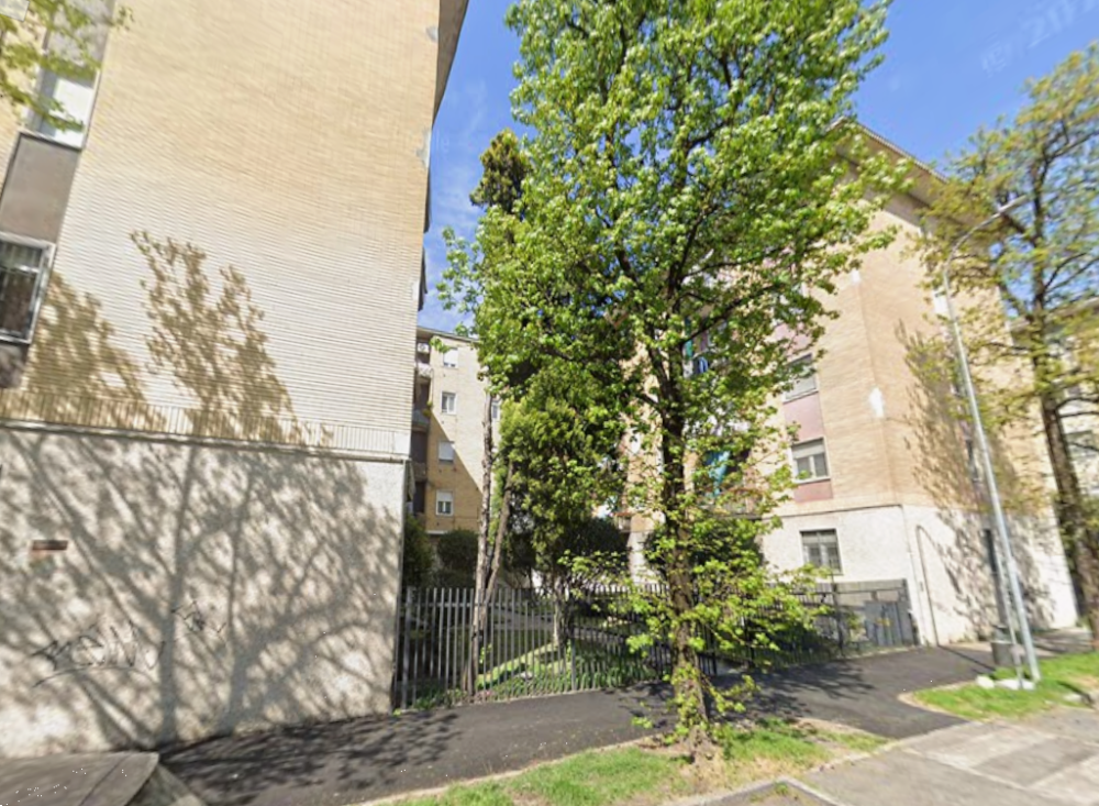 immagine annuncio 3 di 13