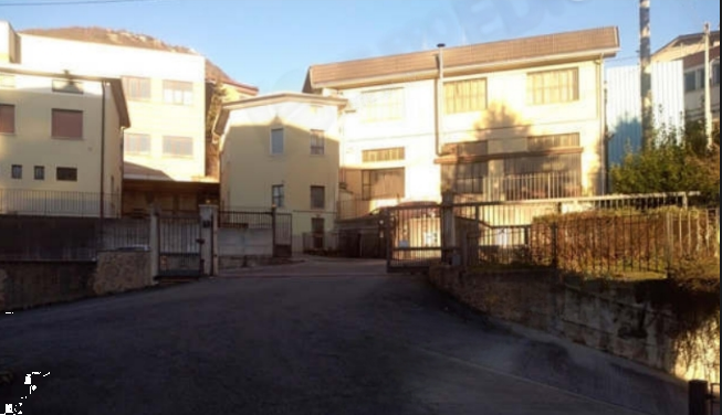 immagine annuncio 11 di 13