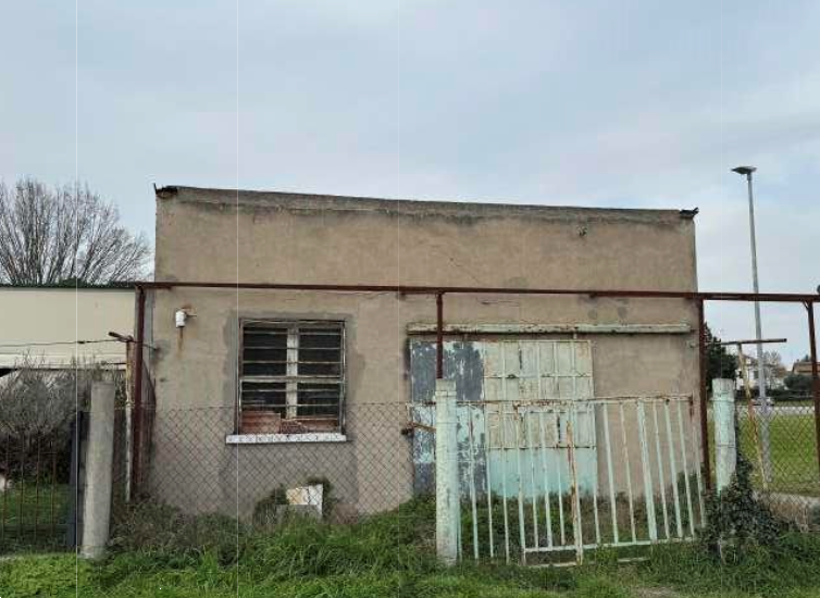 immagine annuncio 2 di 13