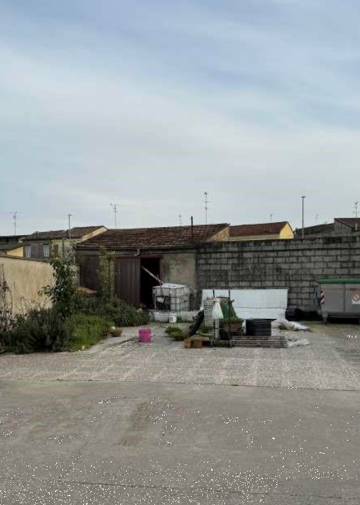 immagine annuncio 5 di 13