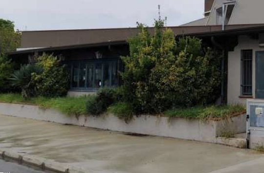 immagine annuncio 9 di 13