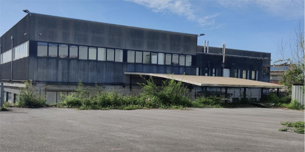 immagine annuncio 3 di 13