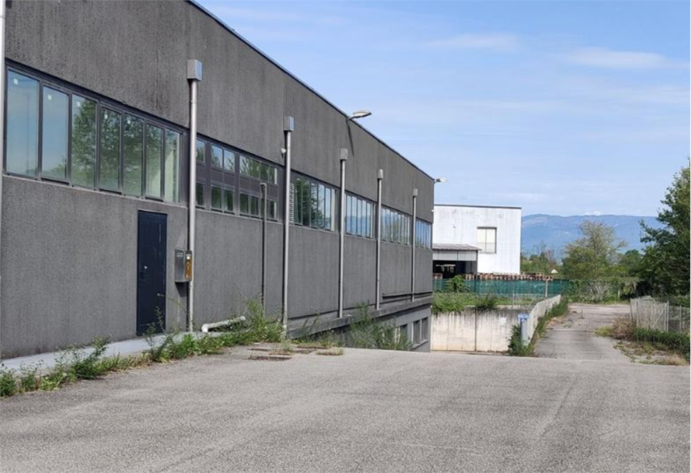 immagine annuncio 4 di 13