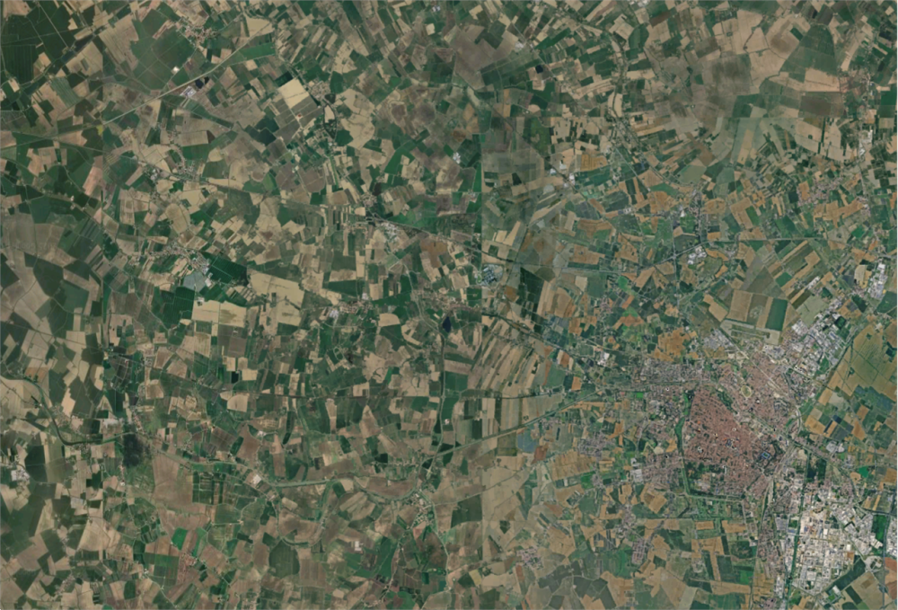 immagine annuncio 11 di 13