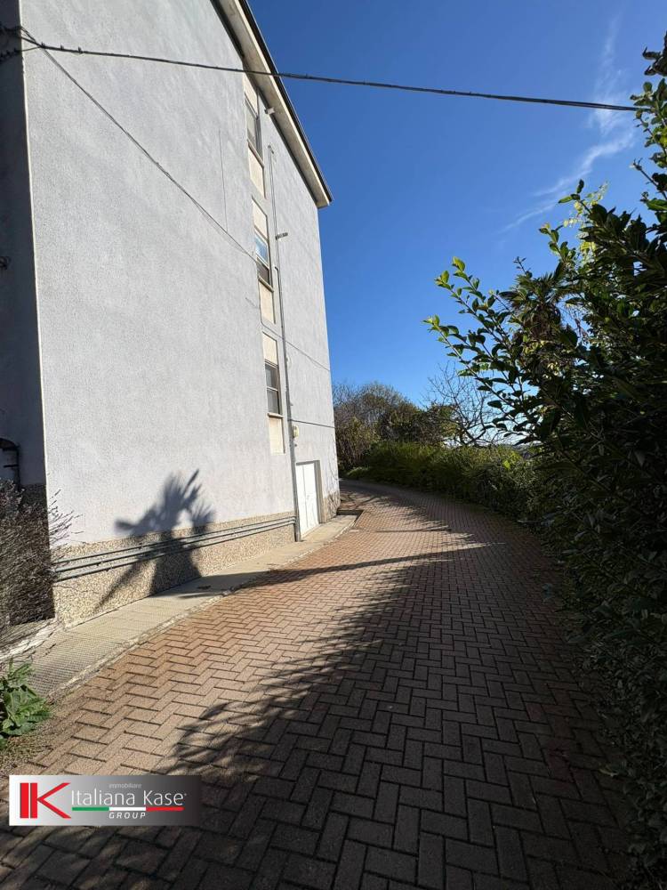 immagine annuncio 1 di 4