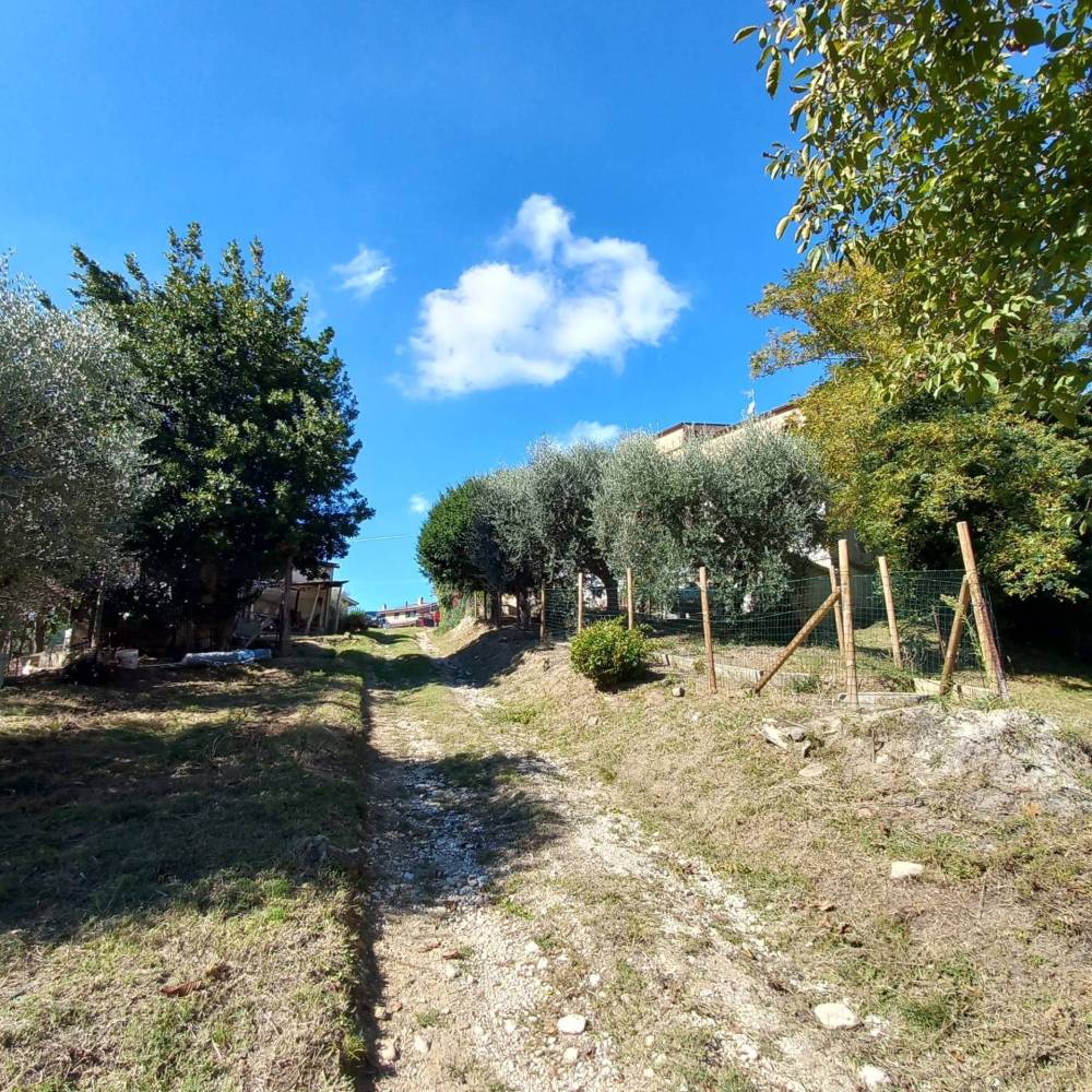 immagine annuncio 4 di 13