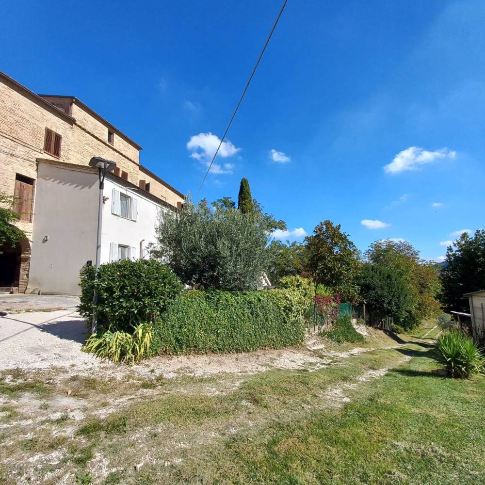 immagine annuncio 3 di 13