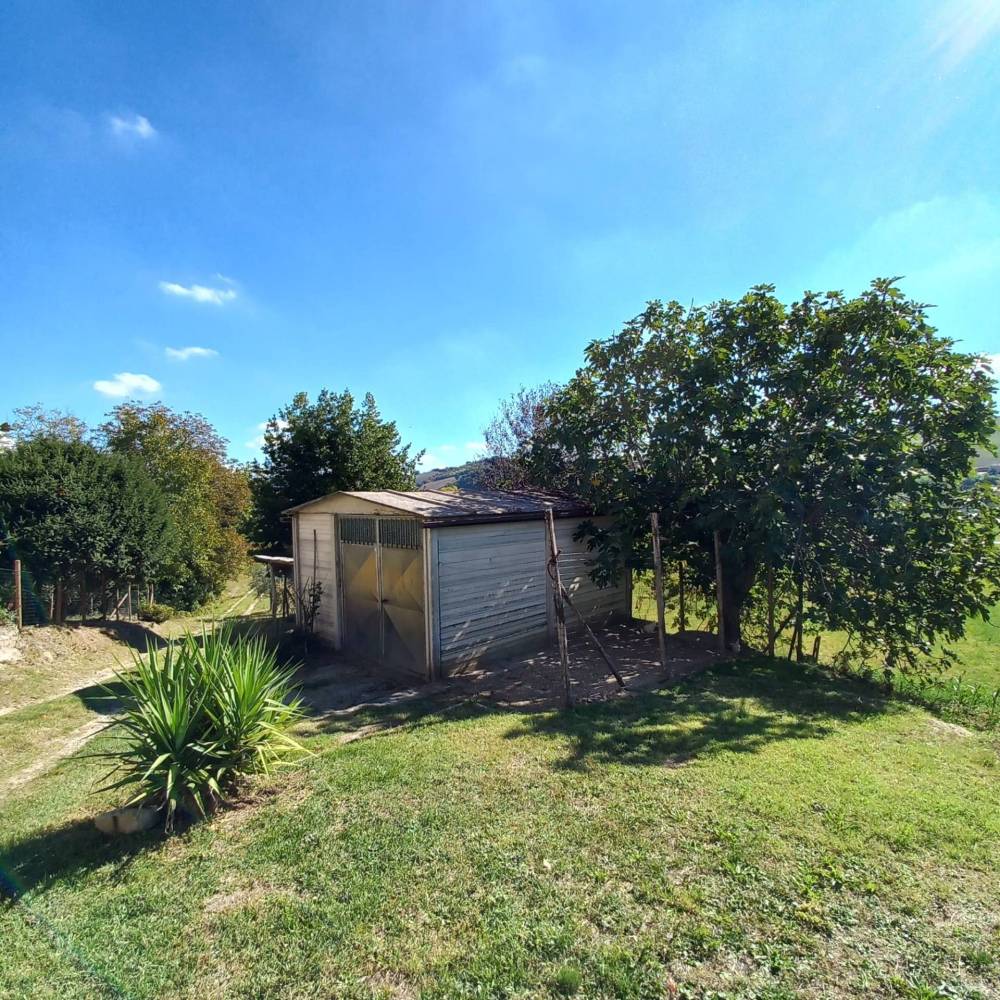 immagine annuncio 5 di 13