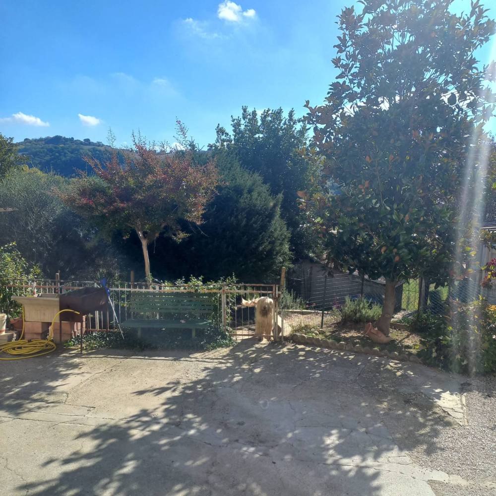 immagine annuncio 6 di 13