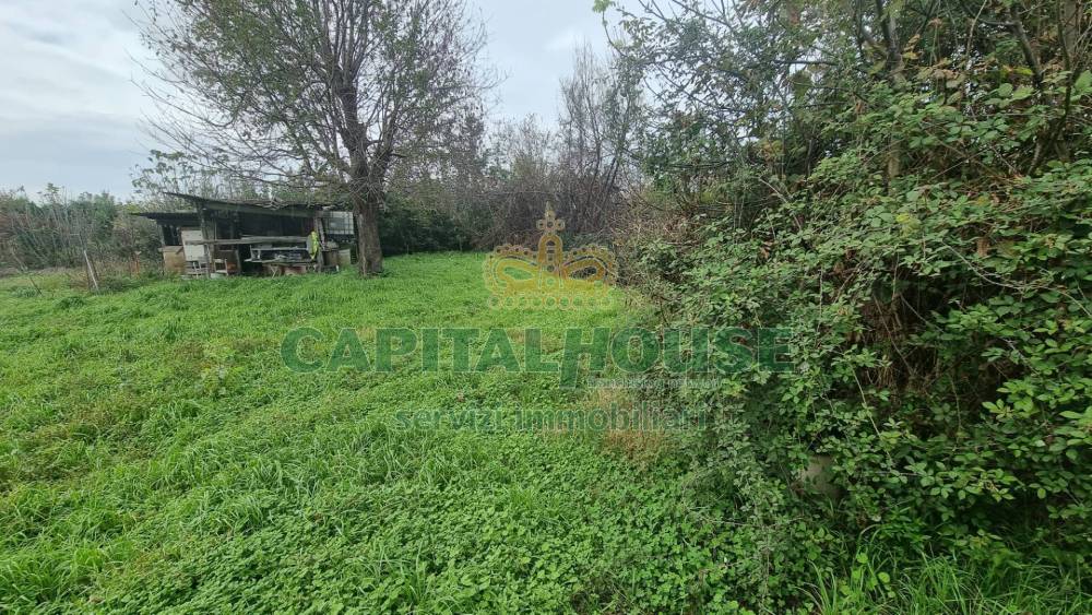 immagine annuncio 6 di 9