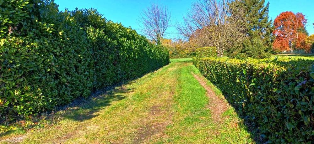 immagine annuncio 2 di 13