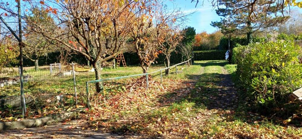 immagine annuncio 1 di 13