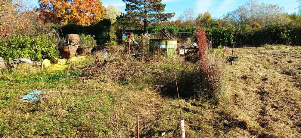 immagine annuncio 5 di 13