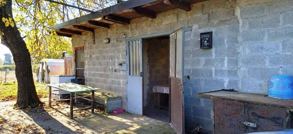 immagine annuncio 6 di 13