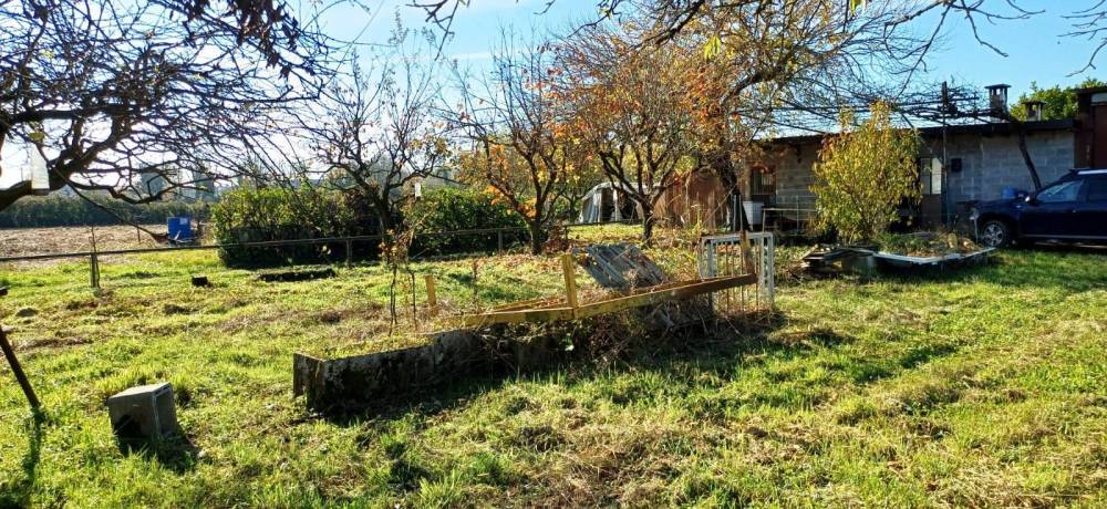 immagine annuncio 4 di 13