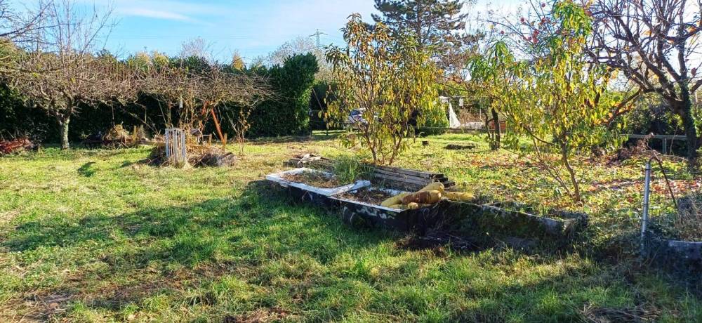 immagine annuncio 7 di 13