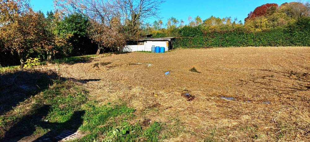 immagine annuncio 9 di 13