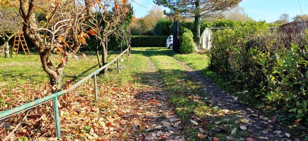 immagine annuncio 10 di 13