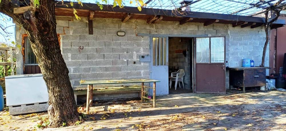 immagine annuncio 3 di 13